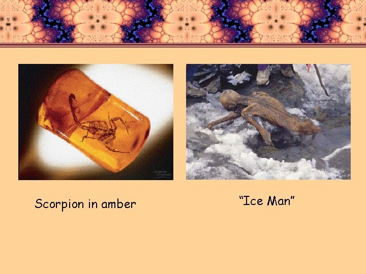 Scorpion in amber “Ice Man” 