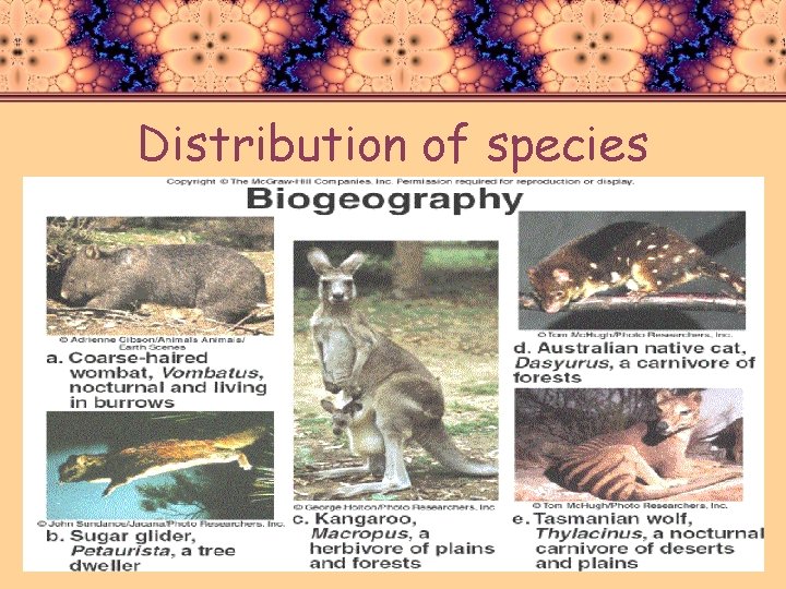 Distribution of species 