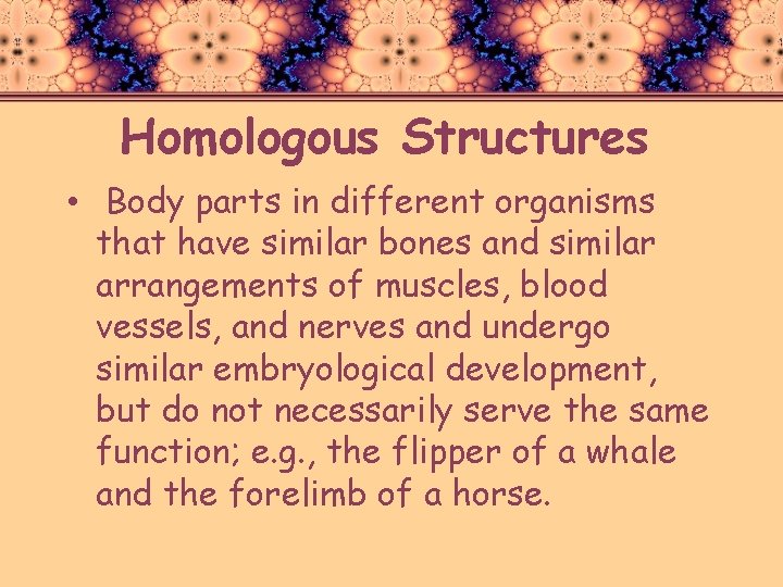 Homologous Structures • Body parts in different organisms that have similar bones and similar