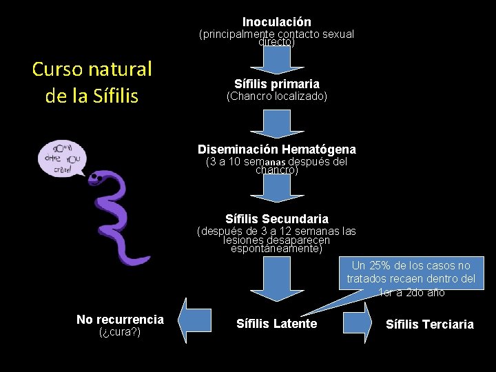 Inoculación (principalmente contacto sexual directo) Curso natural de la Sífilis primaria (Chancro localizado) Diseminación