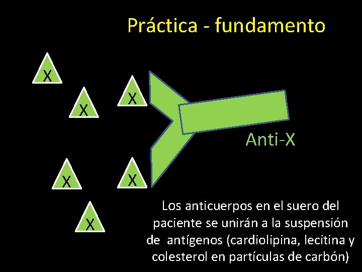 Práctica - fundamento X X X Anti-X X Los anticuerpos en el suero del