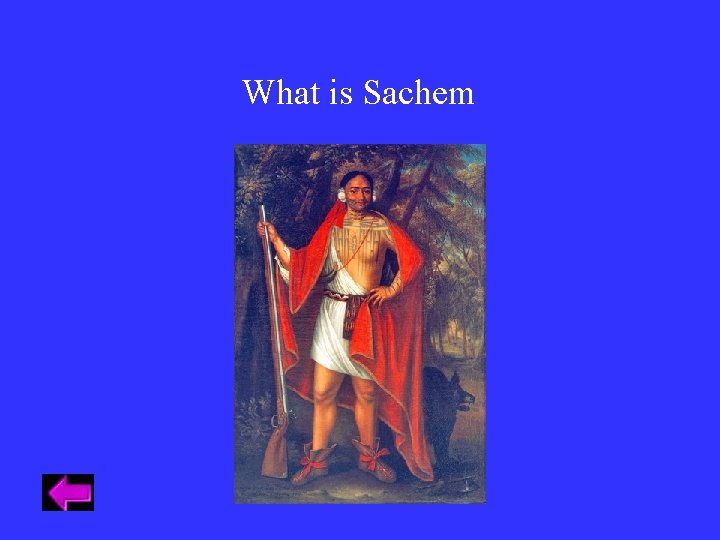 What is Sachem What is Sachem