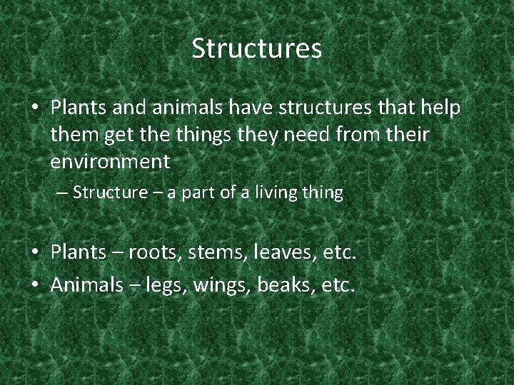 Structures • Plants and animals have structures that help them get the things they