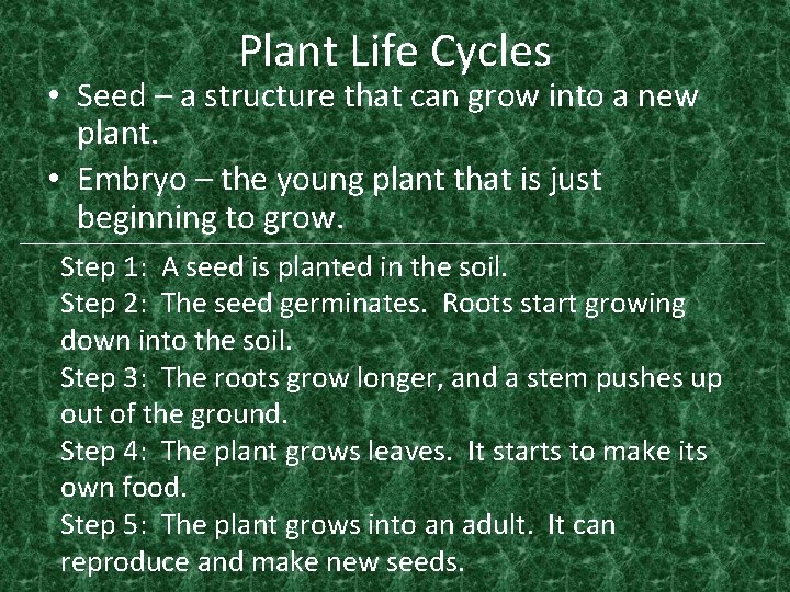 Plant Life Cycles • Seed – a structure that can grow into a new