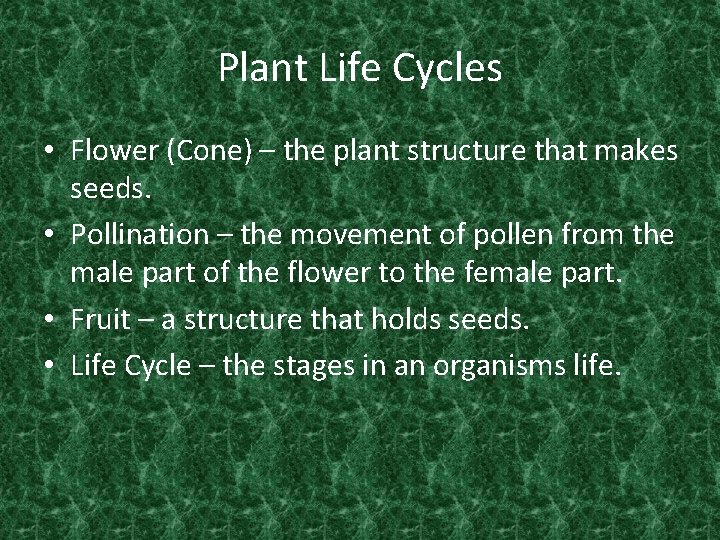Plant Life Cycles • Flower (Cone) – the plant structure that makes seeds. • Plant Life Cycles • Flower (Cone) – the plant structure that makes seeds. •