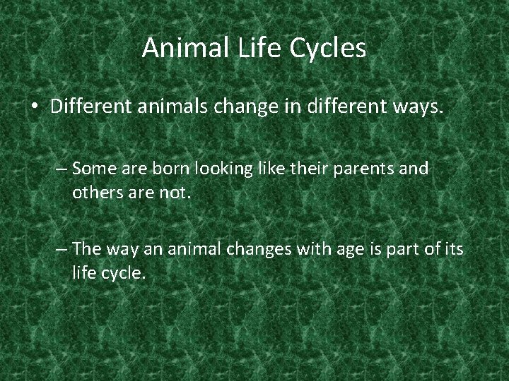 Animal Life Cycles • Different animals change in different ways. – Some are born Animal Life Cycles • Different animals change in different ways. – Some are born