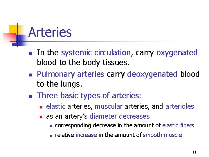 Arteries n n n In the systemic circulation, carry oxygenated blood to the body