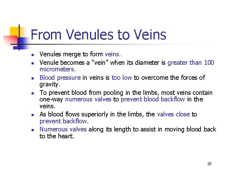 From Venules to Veins n n n Venules merge to form veins. Venule becomes