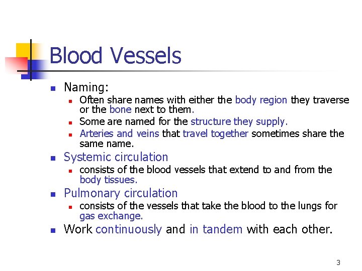 Blood Vessels n Naming: n n Systemic circulation n n consists of the blood