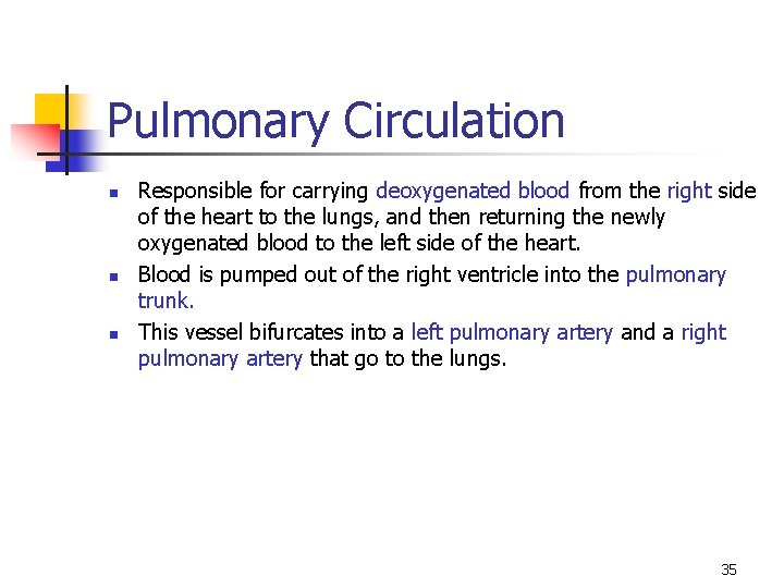 Pulmonary Circulation n Responsible for carrying deoxygenated blood from the right side of the