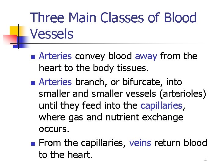 Three Main Classes of Blood Vessels n n n Arteries convey blood away from