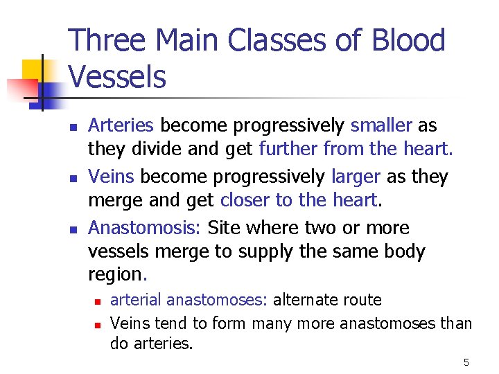 Three Main Classes of Blood Vessels n n n Arteries become progressively smaller as