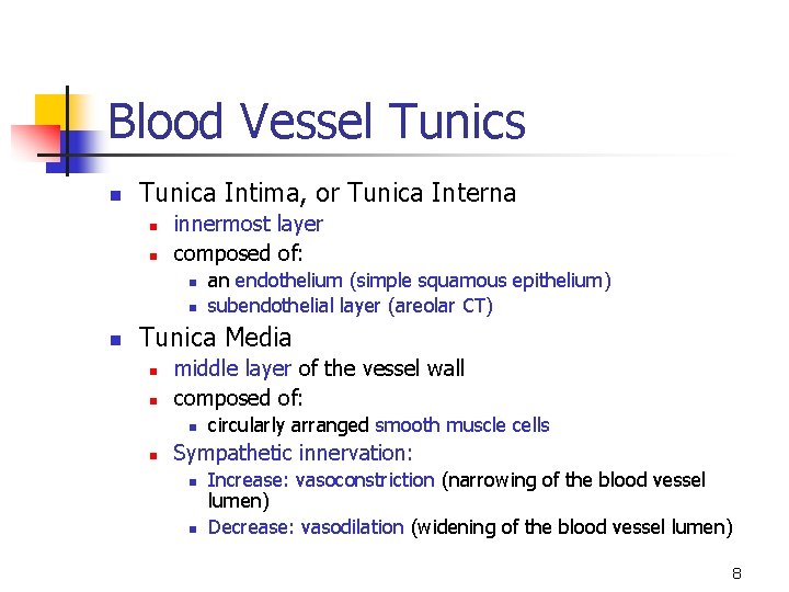 Blood Vessel Tunics n Tunica Intima, or Tunica Interna n n innermost layer composed