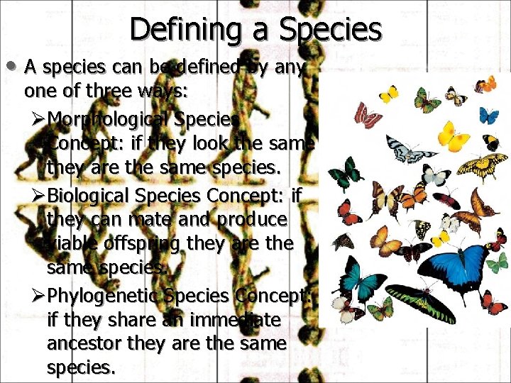 Defining a Species • A species can be defined by any one of three