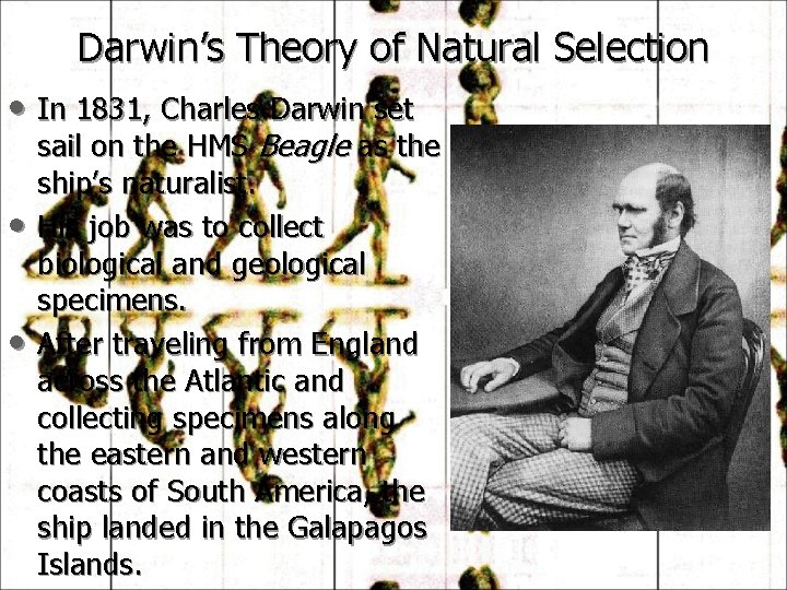 Darwin’s Theory of Natural Selection • In 1831, Charles Darwin set • • sail