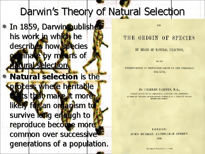 Darwin’s Theory of Natural Selection • In 1859, Darwin publishes • his work in