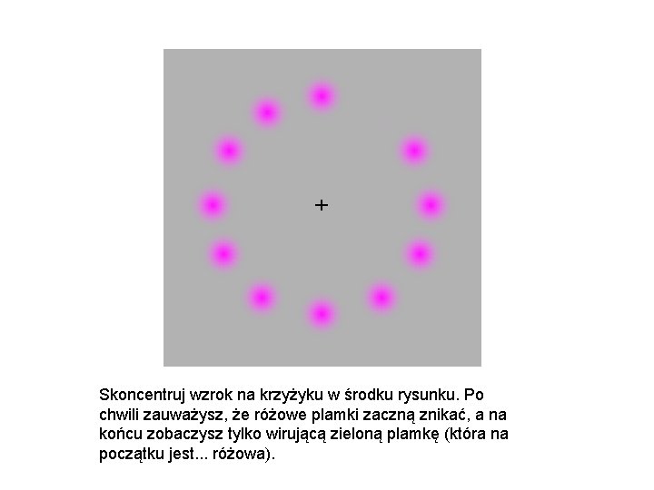 Skoncentruj wzrok na krzyżyku w środku rysunku. Po chwili zauważysz, że różowe plamki zaczną