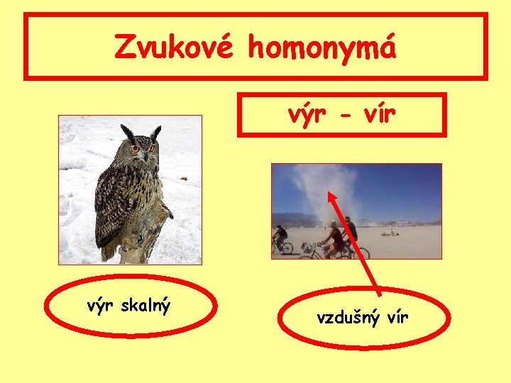 Zvukové homonymá výr - vír výr skalný vzdušný vír 