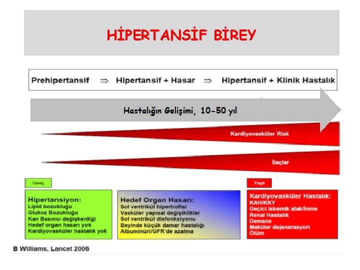 HİPERTANSİF BİREY HİPERTANSİF BİREY