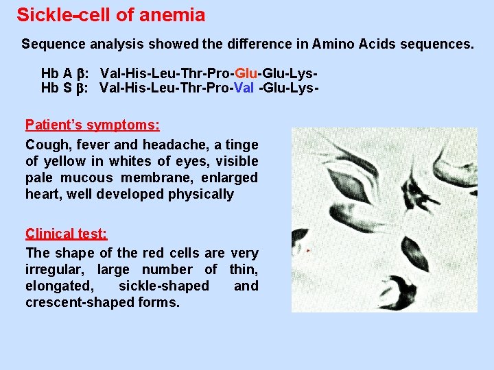 Sickle-cell of anemia Sequence analysis showed the difference in Amino Acids sequences. Hb A