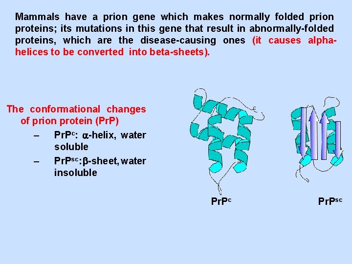 Mammals have a prion gene which makes normally folded prion proteins; its mutations in