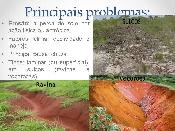 Principais problemas: • Erosão: a perda do solo por ação física ou antrópica. •
