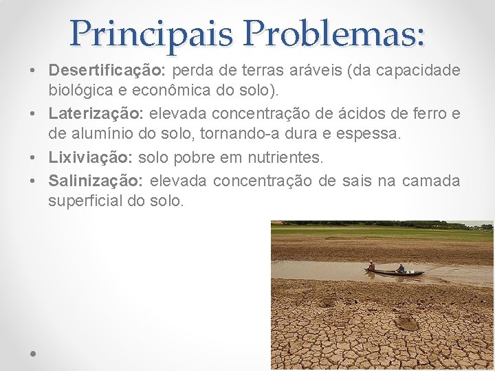 Principais Problemas: • Desertificação: perda de terras aráveis (da capacidade biológica e econômica do