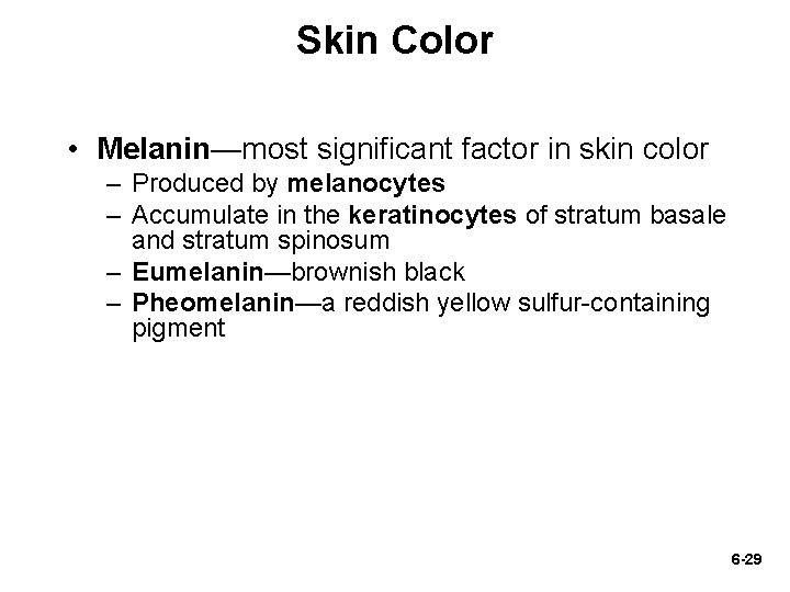 Skin Color • Melanin—most significant factor in skin color – Produced by melanocytes –