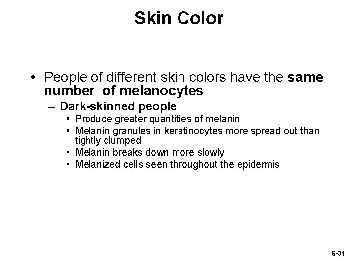 Skin Color • People of different skin colors have the same number of melanocytes