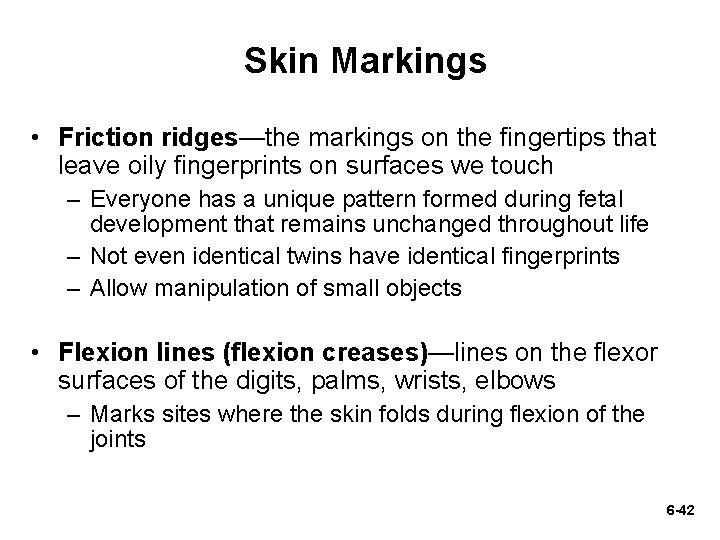 Skin Markings • Friction ridges—the markings on the fingertips that leave oily fingerprints on