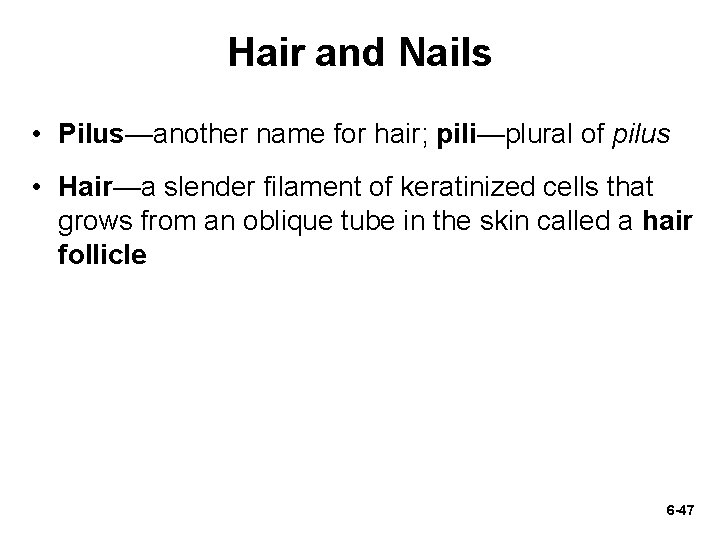 Hair and Nails • Pilus—another name for hair; pili—plural of pilus • Hair—a slender