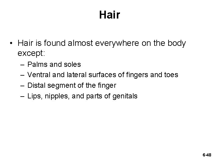 Hair • Hair is found almost everywhere on the body except: – – Palms