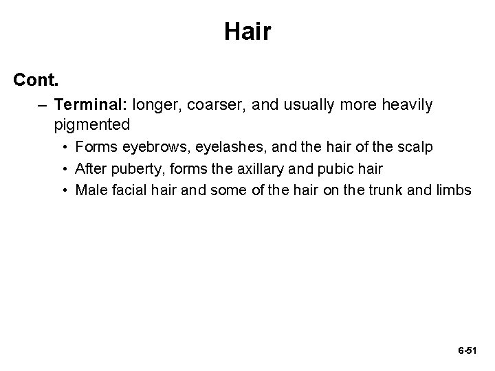 Hair Cont. – Terminal: longer, coarser, and usually more heavily pigmented • Forms eyebrows,