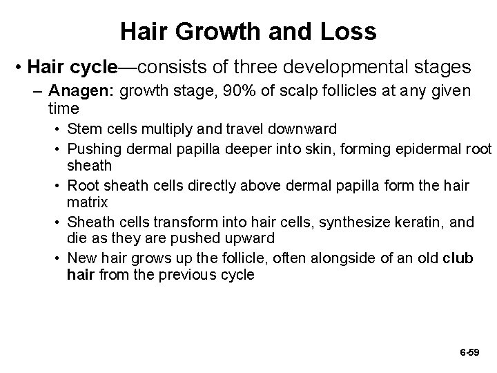Hair Growth and Loss • Hair cycle—consists of three developmental stages – Anagen: growth