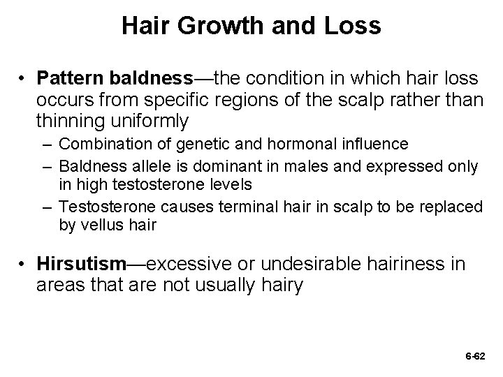 Hair Growth and Loss • Pattern baldness—the condition in which hair loss occurs from