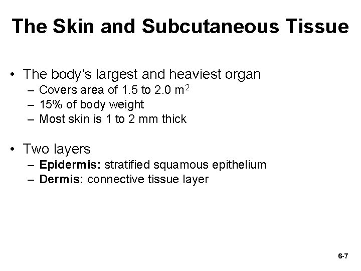 The Skin and Subcutaneous Tissue • The body’s largest and heaviest organ – Covers
