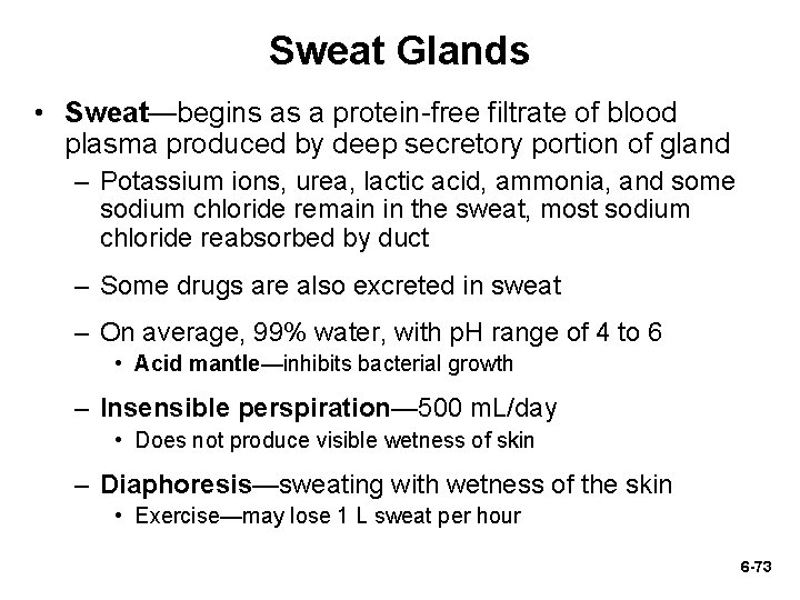 Sweat Glands • Sweat—begins as a protein-free filtrate of blood plasma produced by deep