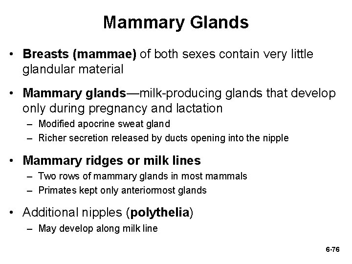 Mammary Glands • Breasts (mammae) of both sexes contain very little glandular material •