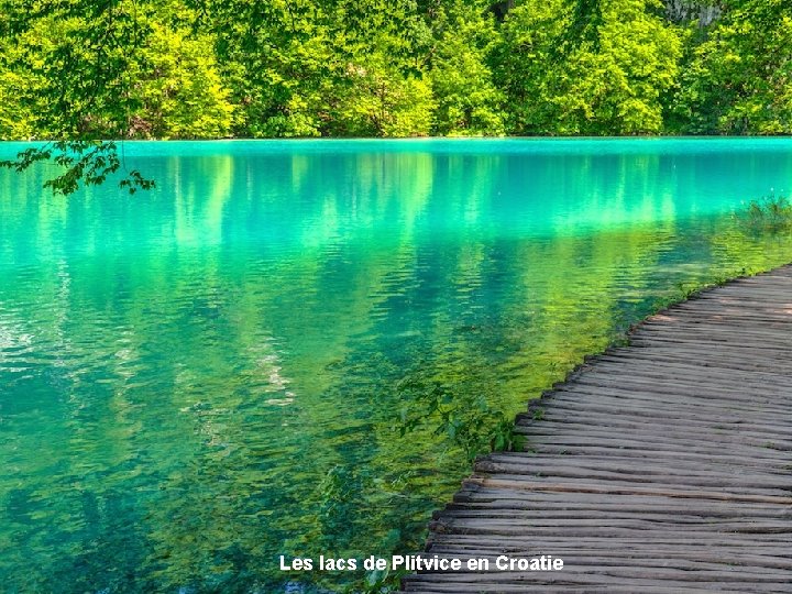 Les lacs de Plitvice en Croatie 