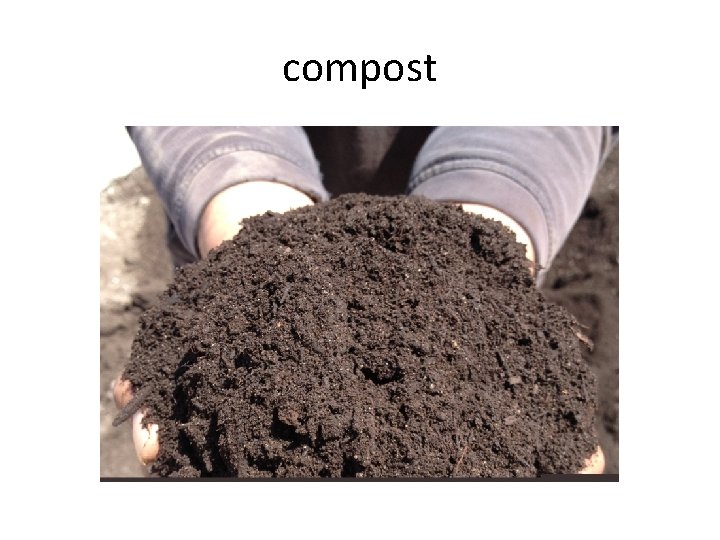 compost compost