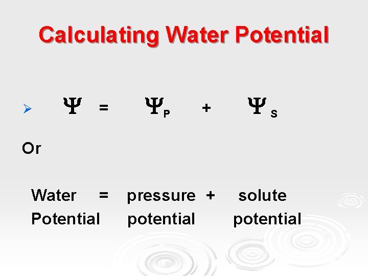 Calculating Water Potential Ø = P + S Or Water = Potential pressure +