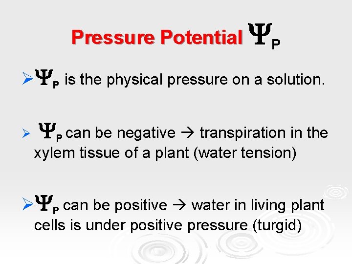 Pressure Potential P Ø P is the physical pressure on a solution. Ø P