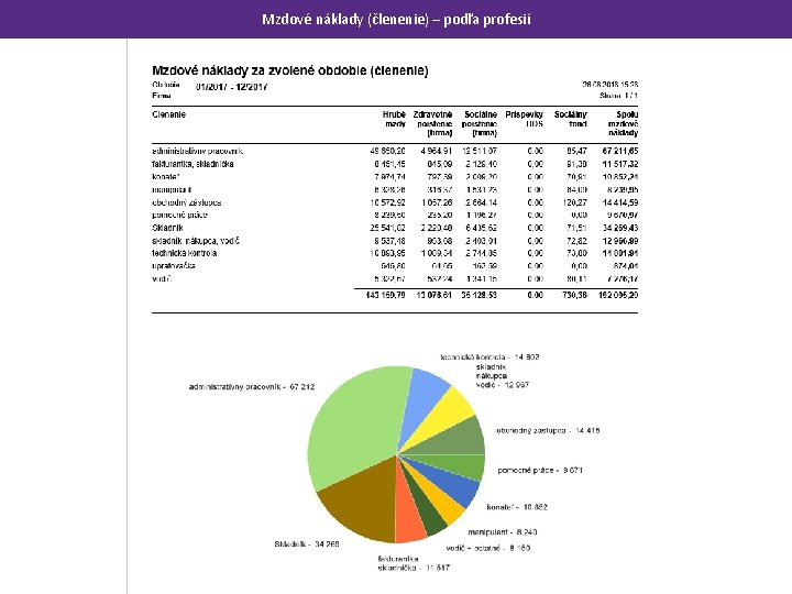 Mzdové náklady (členenie) – podľa profesií 