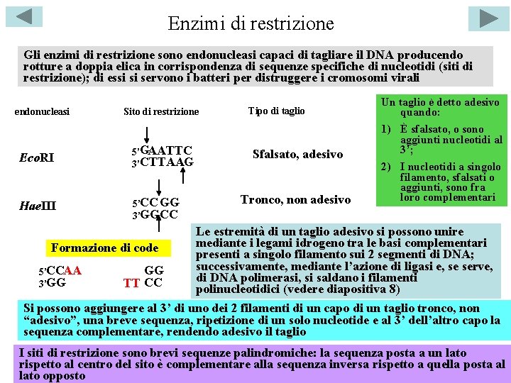 Enzimi di restrizione Gli enzimi di restrizione sono endonucleasi capaci di tagliare il DNA