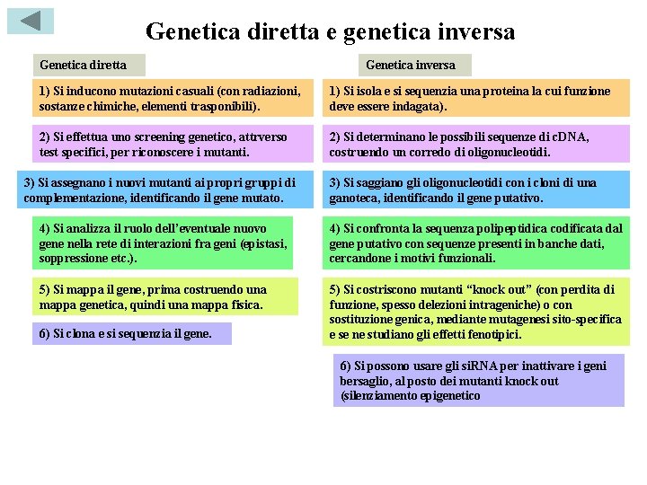 Genetica diretta e genetica inversa Genetica diretta Genetica inversa 1) Si inducono mutazioni casuali