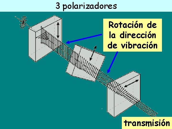 3 polarizadores Rotación de la dirección de vibración transmisión 