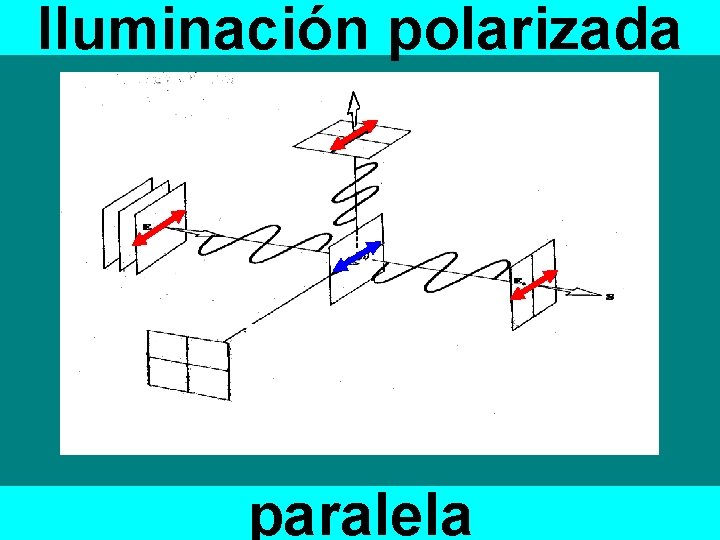 Iluminación polarizada paralela 