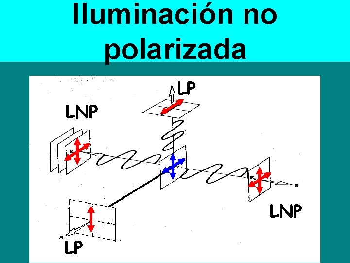 Iluminación no polarizada LNP LP 