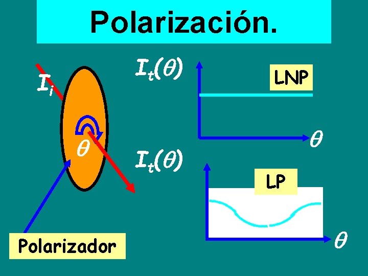 Polarización. I t( ) Ii Polarizador I t( ) LNP LP 