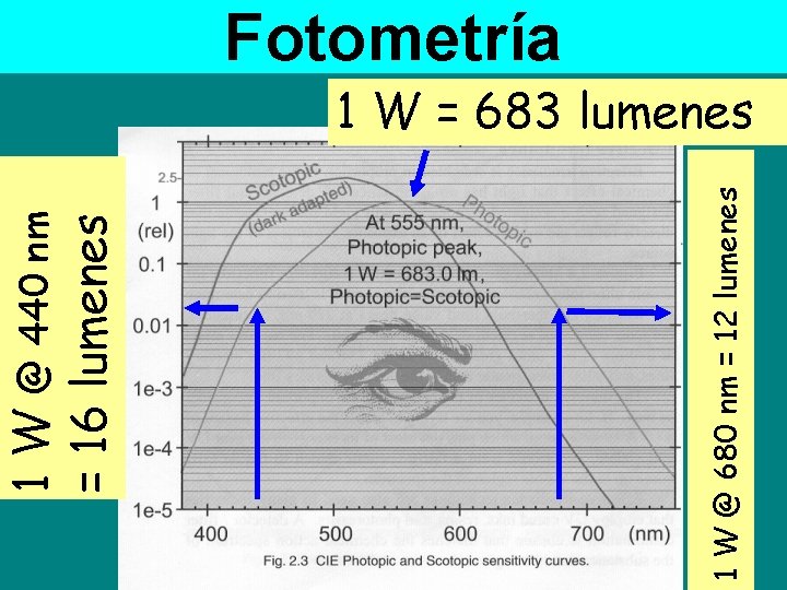 1 W @ 680 nm = 12 lumenes 1 W @ 440 nm =